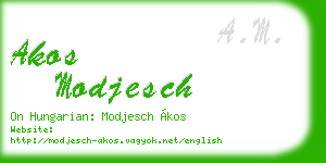 akos modjesch business card